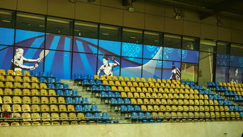 开云官网-澳大利亚队未来如何利用青训体系打造新一代乒乓巨星，澳大利亚乒乓球